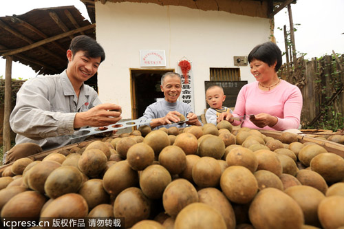 中國羅漢果變身美國汽水產業大救星？
