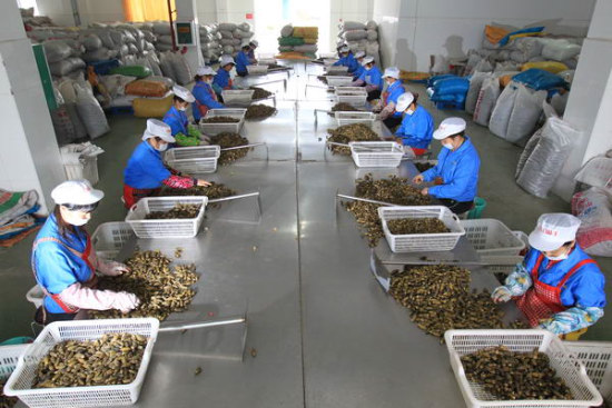 中國檳榔之鄉(xiāng)——萬寧