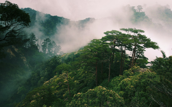 雄偉神奇的霸王嶺