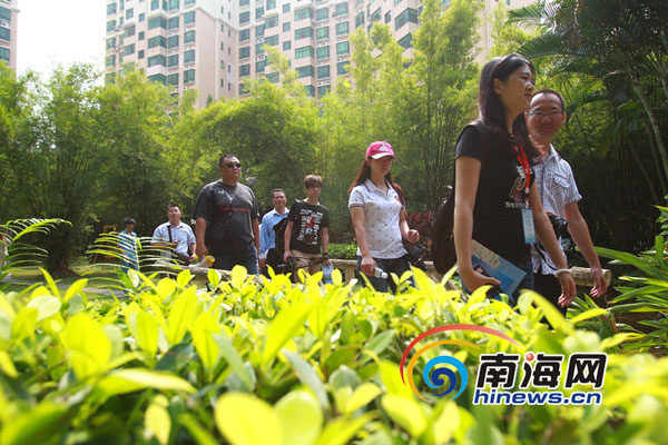 十年磨一劍 “五個(gè)龍華”鑄造?？诂F(xiàn)代化新城區(qū)