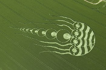 英國驚現(xiàn)巨型水母圖案麥田怪圈 好似神秘生物入侵地球