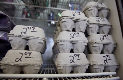 美雞蛋商召回3.8億枚遭感染雞蛋 已致數百人患病