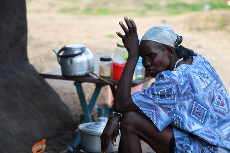 探訪南蘇丹：新國家將面臨巨大挑戰(zhàn)