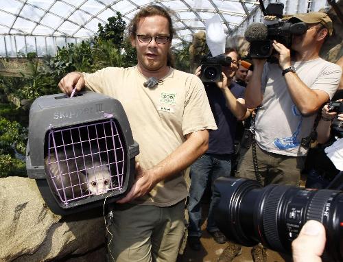德國(guó)“預(yù)測(cè)帝”對(duì)眼負(fù)鼠遷新居 7月1日首次見(jiàn)游客