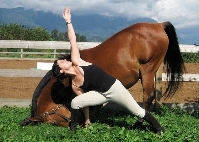 加拿大高齡賽馬愛(ài)學(xué)主人做瑜伽 強(qiáng)身療傷重回賽場(chǎng)