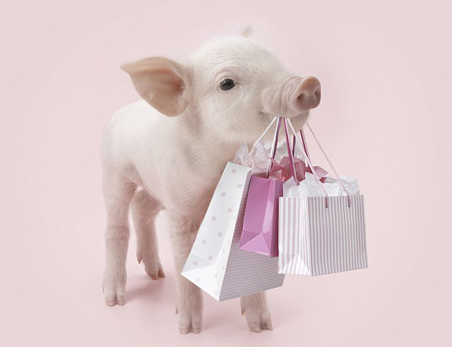 快樂(lè)小豬愛(ài)拍照 或賣(mài)力鍛煉或扮購(gòu)物狂