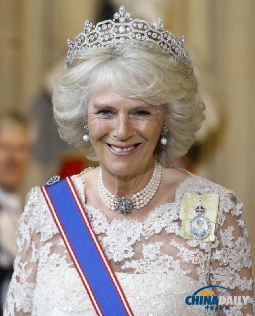 英女王國會大典講話屢出錯 卡米拉扮相似王后