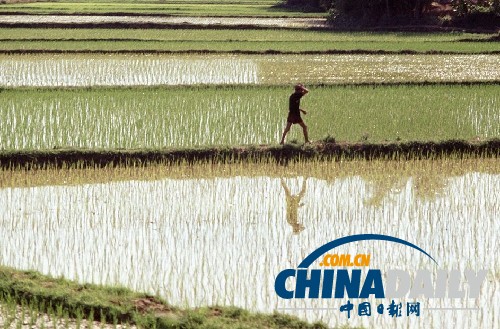 攝影師披露罕見越戰老照片 美軍全面出擊火光沖天