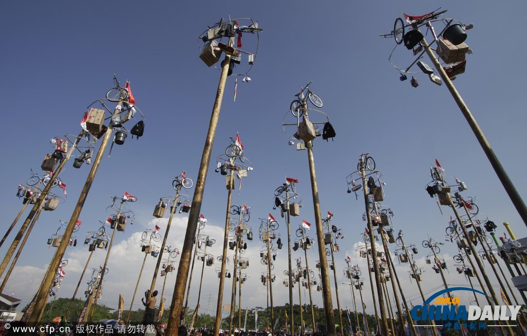 以國家名義狂歡 印尼民眾爬高奪獎慶祝獨(dú)立日（圖）