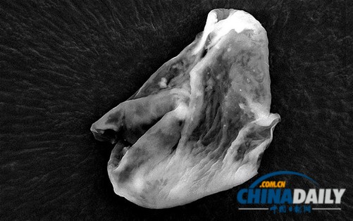 英國科學家稱大氣中發(fā)現外星生命惹爭議