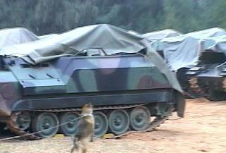 金門臺軍裁員兵不敷用 軍犬站哨守戰車