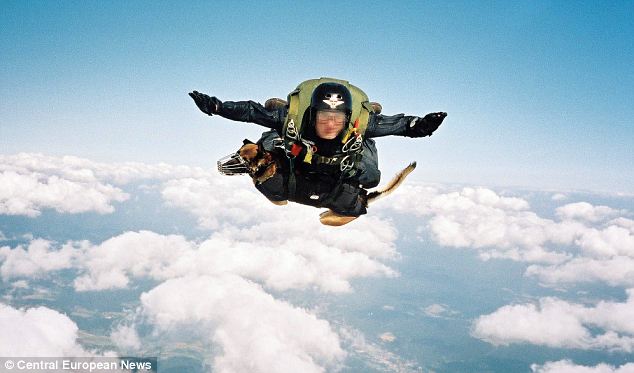 特種兵帶嗅探犬從一萬英尺高空練習跳傘