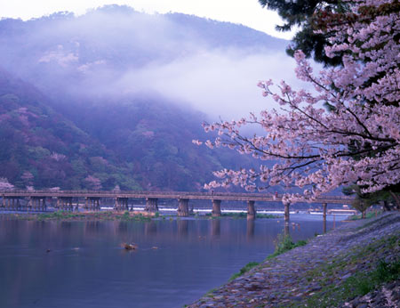 日本京都嵐山櫻花