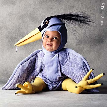 環球超可愛寶寶寫真