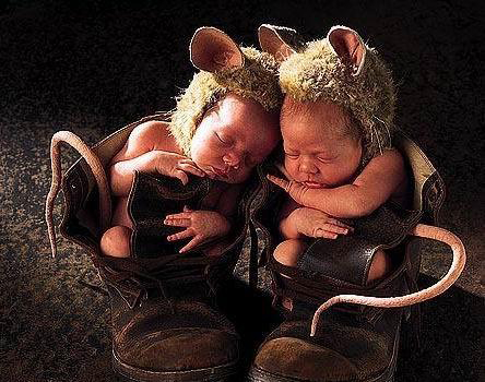 環(huán)球超可愛寶寶寫真