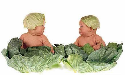 環(huán)球超可愛寶寶寫真