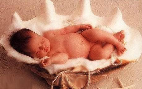 環球超可愛寶寶寫真