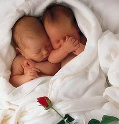 環球超可愛寶寶寫真