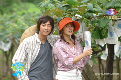 浪漫.時尚.動感-華娛新春電視娛樂盛宴