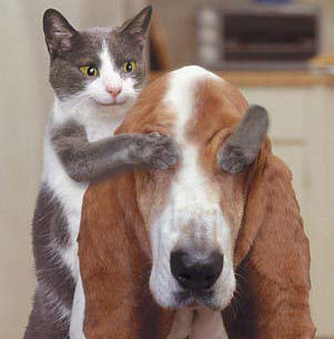 親愛的，猜猜我是誰？