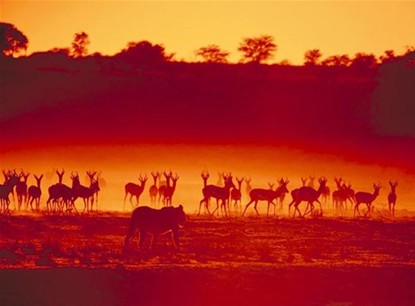 獨(dú)家:戴安娜蜜月地實(shí)拍 威廉凱特蜜月地點(diǎn)大猜想