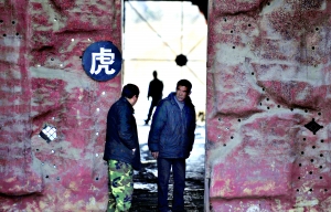 沈陽動物園老虎餓死幕后:園區被抵押貸款建球場