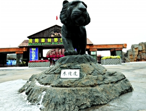 沈陽動物園老虎餓死幕后:園區被抵押貸款建球場