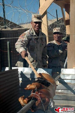 看了這個(gè)你就知道為啥美軍很多胖子