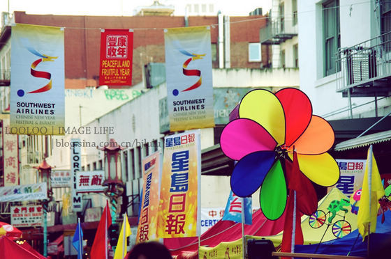 逛逛美國唐人街的花市