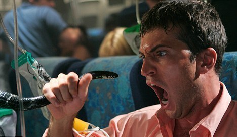 航班蛇患險些上演！走私犯手提行李暗藏40條蟒蛇