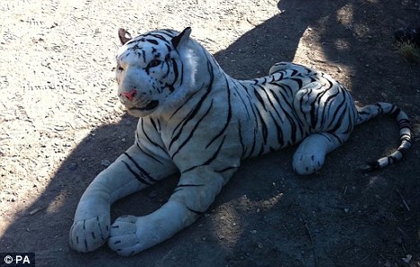 英國(guó)警察被忽悠 派出直升機(jī)“圍捕”玩具老虎