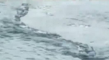 冰島百年水怪今日終現(xiàn)身？盤點幽藍世界詭異“怪獸”