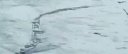 冰島百年水怪今日終現(xiàn)身？盤點幽藍世界詭異“怪獸”