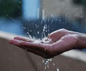 收集雨水犯法！美國俄勒岡一男子被判入獄30天