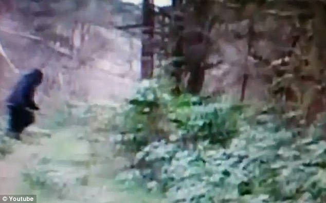 “大腳野人”出現(xiàn)在美國(guó)俄亥俄州？ 網(wǎng)上視頻引熱議