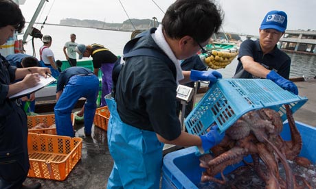 日本福島未來10年無魚可吃？最新研究發(fā)現(xiàn)附近四成魚放射性超標(biāo)