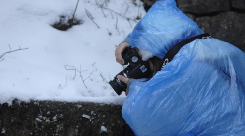 安徽黃山風景區迎降入冬首場盛雪 驚羨拍雪客