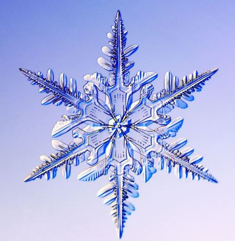 怎一個美字了得！美國科學(xué)家?guī)闶フQ看雪花(圖)
