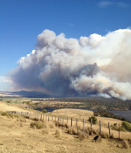 澳大利亞?wèn)|南部島嶼火災(zāi)肆虐 已致100多人失蹤