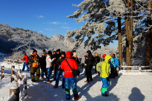 黃山風景區開展主題酬賓周活動 本地市民免費游