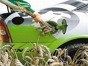 生物燃料究竟有多“綠”?