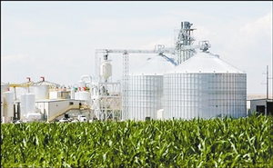 生物燃料究竟有多“綠”?