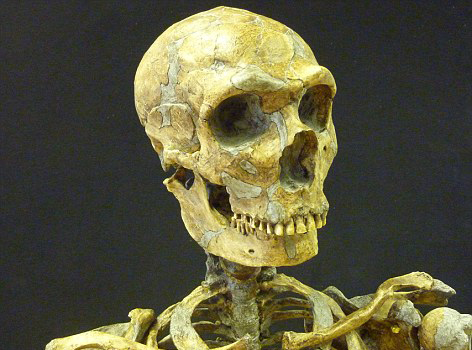 為復(fù)活已滅絕3萬(wàn)余年古人類 哈佛教授尋找勇敢代孕母親