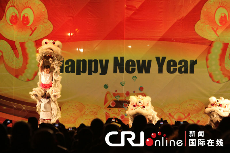 “歡樂春節(jié)”響徹羅馬 焰火表演照亮斗獸場