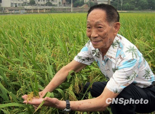 印度農民稻米單產創世界紀錄 袁隆平批“吹牛皮”