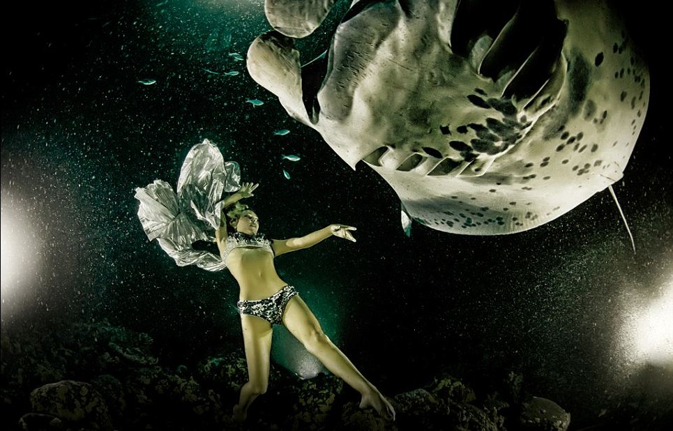 最后的舞蹈：動物組織拍唯美照片呼吁保護“魔鬼魚”