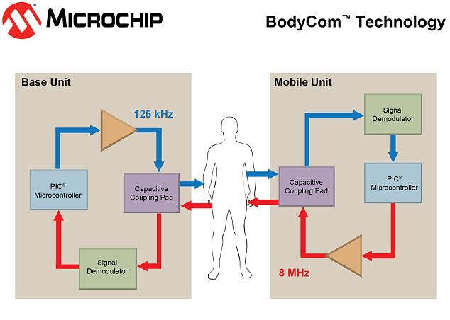 美公司研究突破性新技術 人體充當導體控制電子設備