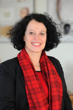 法國駐華大使:法國總統訪華擬推進中法各領域合作