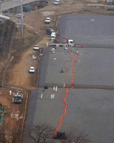 福島第一核電站內發現老鼠尸體 冷卻系統停運檢查