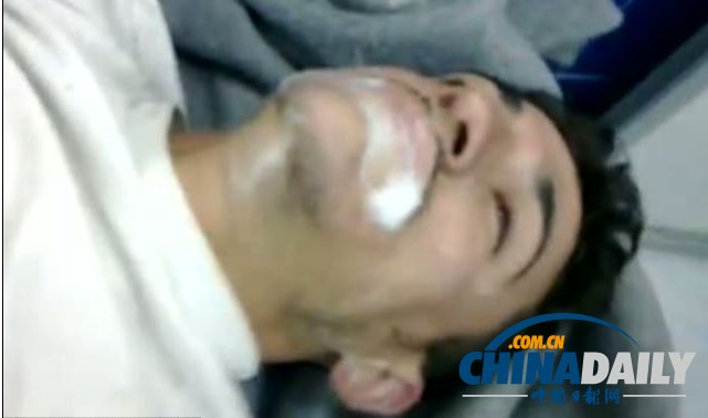 動物尸體遍地照片被翻出 生化武器疑云籠罩敘利亞